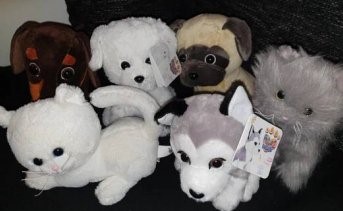 Jak pečovat o plyšáky?