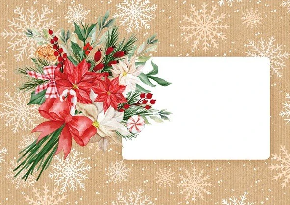 Aria OB C5 box va obálka vánoční C5