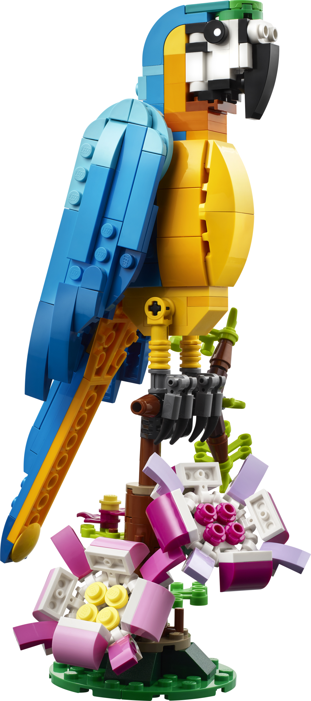 LEGO® Creator 3 v 1 31136 Exotický papoušek