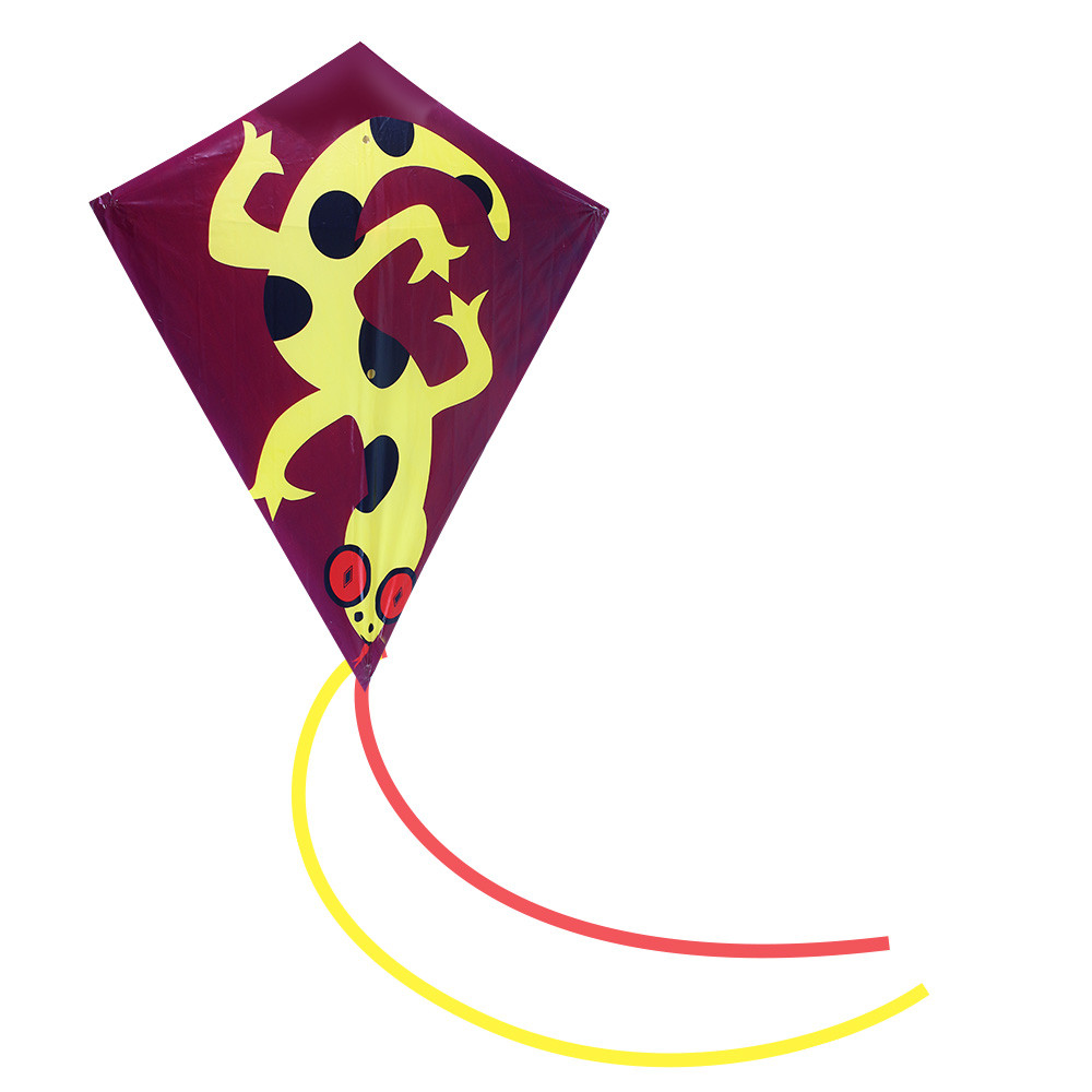 LÉTAJÍCÍ DRAK ZVÍŘATA 64X76 CM 2 DRUHY