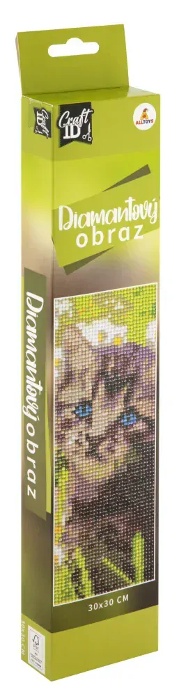 Diamantové malování 30x30cm