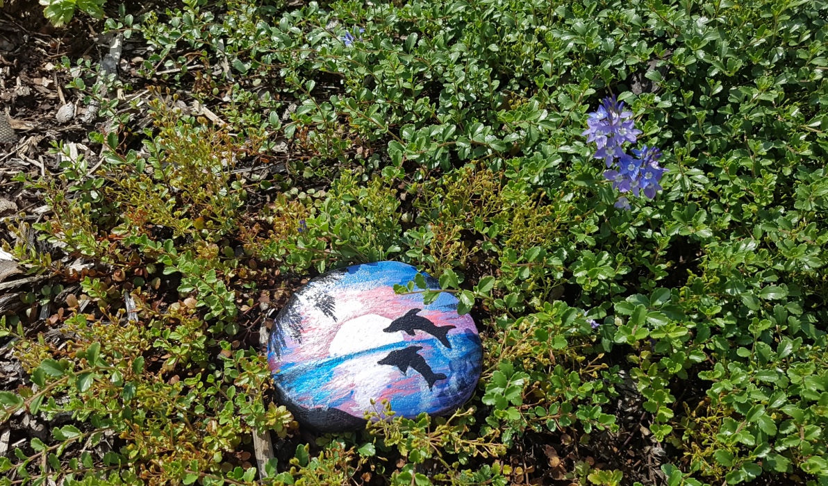 Barvy na kamínky akrylové základní lesklé 7 x 15 g  6123