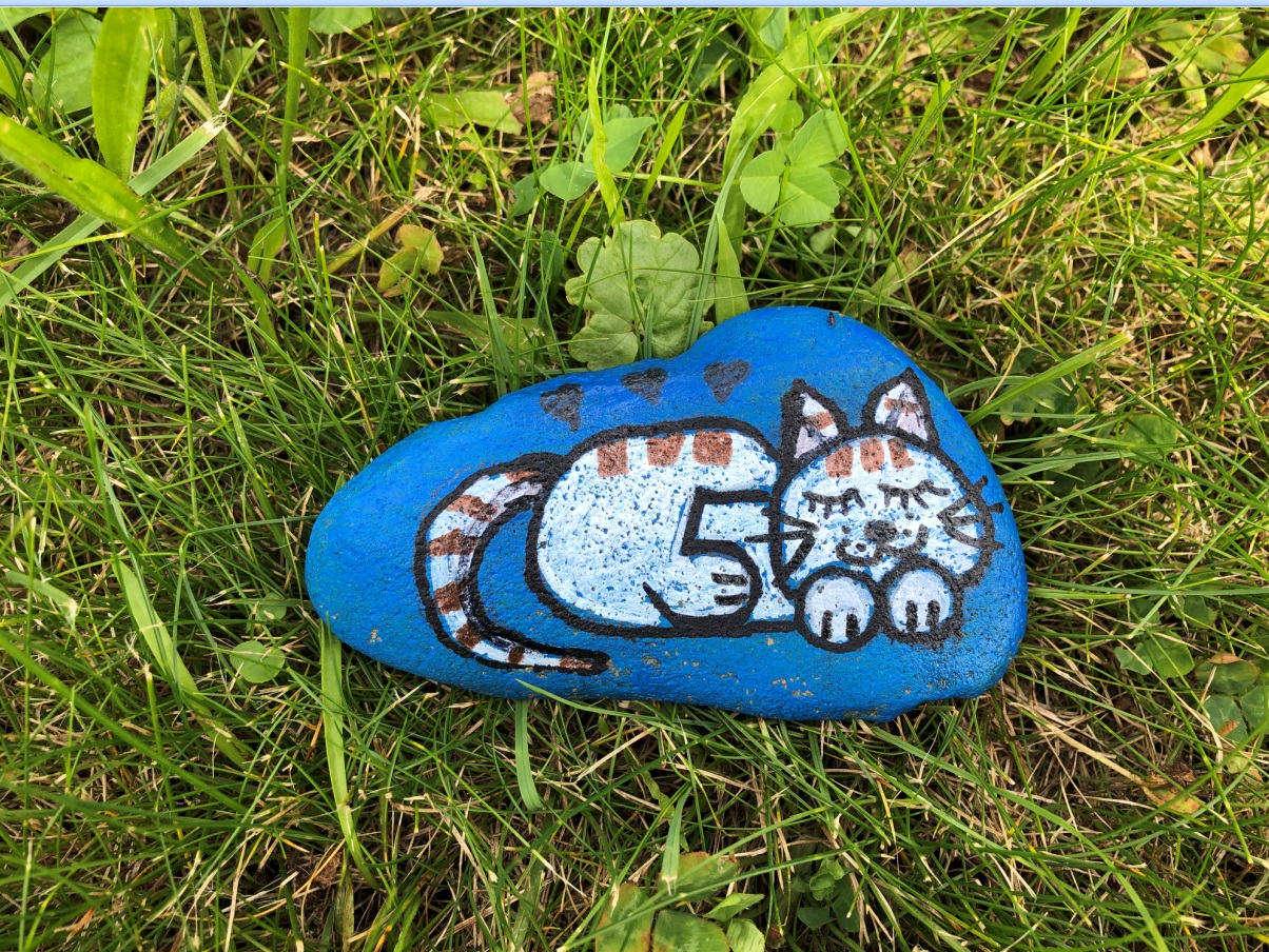 Barvy na kamínky akrylové svíticí ve tmě lesklé 7 x 15 g   6124