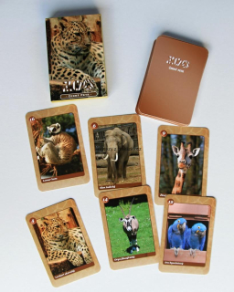 Černý Petr, Zoologická zahrada, Zoo