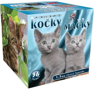 Pexeso box Kočky