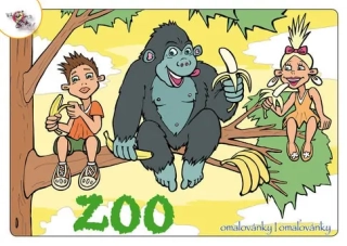 omalovánky A5 ZOO