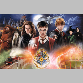Puzzle 23001 Harry Potter 300 dílků