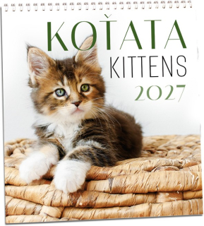 KN348 - Kalendář Koťata 2027