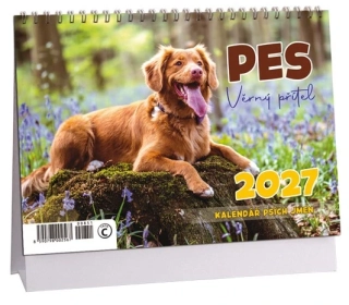 K851 - Kalendář Pes - věrný přítel 2027