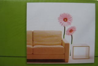 Samolepící tapeta gerbera